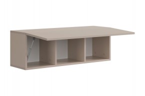 РИЧ Шкаф навесной в Нижнем Тагиле - nizhniy-tagil.mebel24.online | фото 6