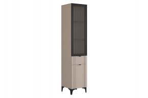 РИЧ Шкаф однодверный со стеклом в Нижнем Тагиле - nizhniy-tagil.mebel24.online | фото 1