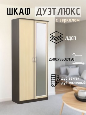 Шкаф 2-х створчатый Дуэт Люкс с зеркалом в Нижнем Тагиле - nizhniy-tagil.mebel24.online | фото