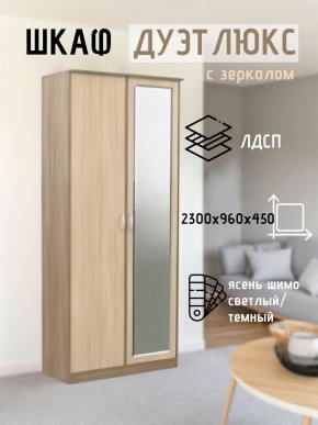 Шкаф 2-х створчатый Дуэт Люкс с зеркалом в Нижнем Тагиле - nizhniy-tagil.mebel24.online | фото 4