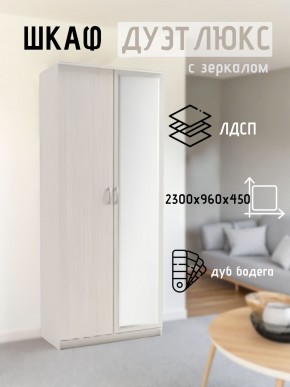 Шкаф 2-х створчатый Дуэт Люкс с зеркалом в Нижнем Тагиле - nizhniy-tagil.mebel24.online | фото 5