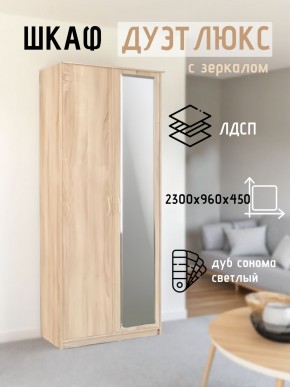 Шкаф 2-х створчатый Дуэт Люкс с зеркалом в Нижнем Тагиле - nizhniy-tagil.mebel24.online | фото 7