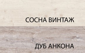 Шкаф 2DG2S, MONAKO, цвет Сосна винтаж/дуб анкона в Нижнем Тагиле - nizhniy-tagil.mebel24.online | фото