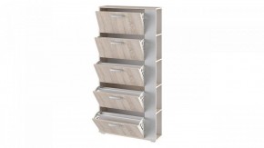 Шкаф для обуви Эрика Тип 2 в Нижнем Тагиле - nizhniy-tagil.mebel24.online | фото 2