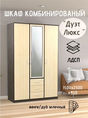 Шкаф комбинированный Дуэт Люкс с зеркалом в Нижнем Тагиле - nizhniy-tagil.mebel24.online | фото 3