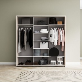 Шкаф-купе Акцент-Лайт ДЗ 1800-600 в Нижнем Тагиле - nizhniy-tagil.mebel24.online | фото 4