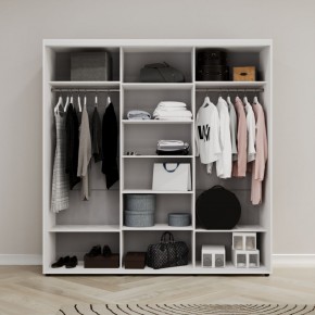 Шкаф-купе Акцент-Лайт З 2400-600 в Нижнем Тагиле - nizhniy-tagil.mebel24.online | фото 2