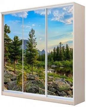 Шкаф-купе ХИТ 22-20-777 ПРИРОДА в Нижнем Тагиле - nizhniy-tagil.mebel24.online | фото
