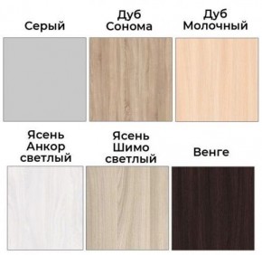 Шкаф-купе ХИТ 22-4-12/2-77 (420) в Нижнем Тагиле - nizhniy-tagil.mebel24.online | фото 3