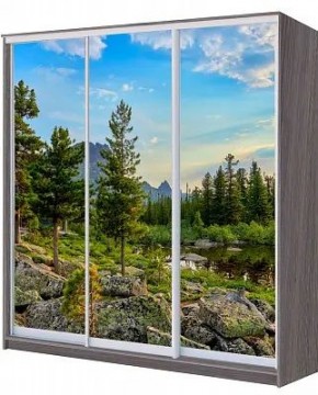 Шкаф-купе ХИТ 22-4-20/2-777 ПРИРОДА в Нижнем Тагиле - nizhniy-tagil.mebel24.online | фото