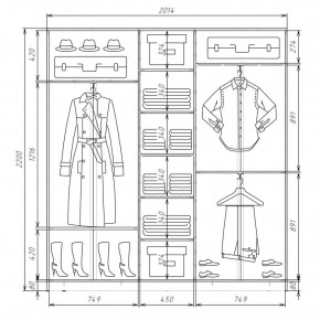Шкаф-купе ХИТ 22-4-20-555 (420) в Нижнем Тагиле - nizhniy-tagil.mebel24.online | фото 2
