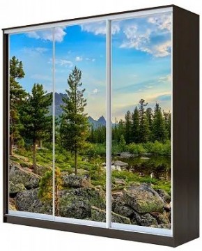 Шкаф-купе ХИТ 23-20/2-777 ПРИРОДА в Нижнем Тагиле - nizhniy-tagil.mebel24.online | фото