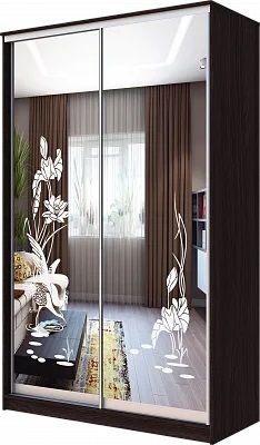 Шкаф-купе ХИТ 23-4-14-66 ЦАПЛИ в Нижнем Тагиле - nizhniy-tagil.mebel24.online | фото