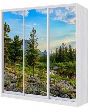 Шкаф-купе ХИТ 23-4-20/2-777 ПРИРОДА в Нижнем Тагиле - nizhniy-tagil.mebel24.online | фото