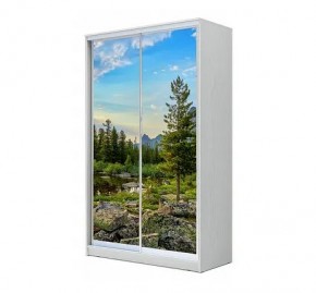 Шкаф-купе ХИТ 24-12/2-77 (620) в Нижнем Тагиле - nizhniy-tagil.mebel24.online | фото