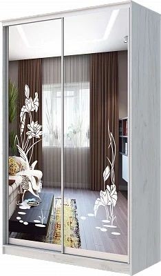 Шкаф-купе ХИТ 24-14-66 ЦАПЛИ в Нижнем Тагиле - nizhniy-tagil.mebel24.online | фото