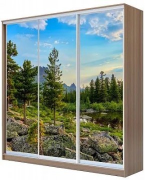 Шкаф-купе ХИТ 24-20/2-777 ПРИРОДА в Нижнем Тагиле - nizhniy-tagil.mebel24.online | фото