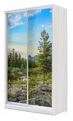 Шкаф-купе ХИТ 24-4-15-77 ПРИРОДА в Нижнем Тагиле - nizhniy-tagil.mebel24.online | фото
