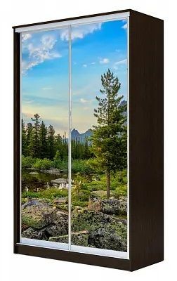 Шкаф-купе ХИТ 24-4-17-77 ПРИРОДА в Нижнем Тагиле - nizhniy-tagil.mebel24.online | фото