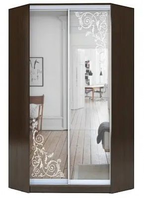 Шкаф-купе ХИТ-У-23-4-66 ОРНАМЕНТ в Нижнем Тагиле - nizhniy-tagil.mebel24.online | фото