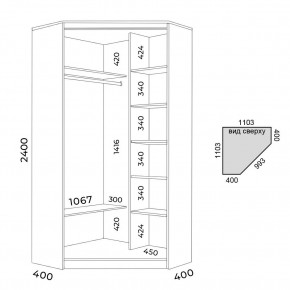 Шкаф-купе ХИТ-У-24-4-77 в Нижнем Тагиле - nizhniy-tagil.mebel24.online | фото 3