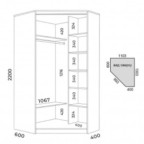 Шкаф-купе ХИТ-У-L-22-64-55 в Нижнем Тагиле - nizhniy-tagil.mebel24.online | фото 3