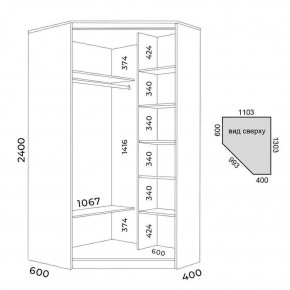 Шкаф-купе ХИТ-У-L-24-64-66 в Нижнем Тагиле - nizhniy-tagil.mebel24.online | фото 4