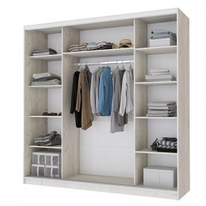 Шкаф-купе Неаполь 2.2 без зеркал в Нижнем Тагиле - nizhniy-tagil.mebel24.online | фото 2