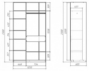 Шкаф-купе SLIM в Нижнем Тагиле - nizhniy-tagil.mebel24.online | фото 5