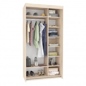 Шкаф-купе T-1-230х120х60 (1-1) в Нижнем Тагиле - nizhniy-tagil.mebel24.online | фото