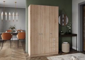 Шкаф Лофт 3-х створчатый в Нижнем Тагиле - nizhniy-tagil.mebel24.online | фото 3