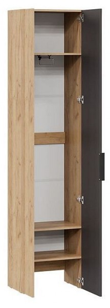 Шкаф платяной Асти в Нижнем Тагиле - nizhniy-tagil.mebel24.online | фото 2