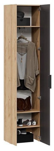Шкаф платяной Асти в Нижнем Тагиле - nizhniy-tagil.mebel24.online | фото 3