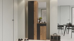Шкаф платяной Асти в Нижнем Тагиле - nizhniy-tagil.mebel24.online | фото 5