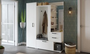 Шкаф платяной Эрика в Нижнем Тагиле - nizhniy-tagil.mebel24.online | фото 3