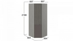 Шкаф платяной Либерти СМ-297.07.033 в Нижнем Тагиле - nizhniy-tagil.mebel24.online | фото 3