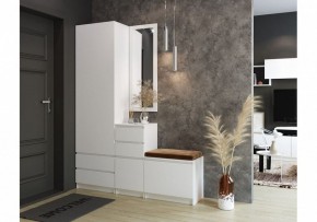 Шкаф платяной Мадера в Нижнем Тагиле - nizhniy-tagil.mebel24.online | фото 4