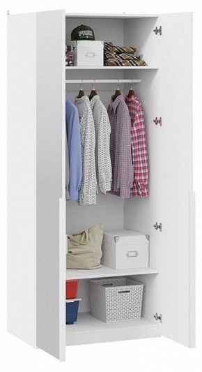 Шкаф платяной Порто СМ-393.07.004 в Нижнем Тагиле - nizhniy-tagil.mebel24.online | фото 4