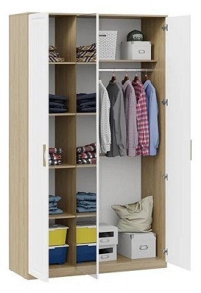 Шкаф платяной Сэнди в Нижнем Тагиле - nizhniy-tagil.mebel24.online | фото 3