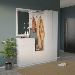 Шкаф платяной ШО-4 в Нижнем Тагиле - nizhniy-tagil.mebel24.online | фото 6