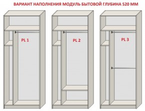 Шкаф распашной серия «ЗЕВС» (PL3/С1/PL2) Серый камень/Небраска натуральный в Нижнем Тагиле - nizhniy-tagil.mebel24.online | фото 5