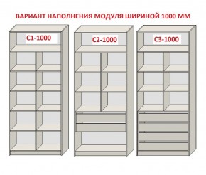 Шкаф распашной серия «ЗЕВС» (PL3/С1/PL2) Серый камень/Небраска натуральный в Нижнем Тагиле - nizhniy-tagil.mebel24.online | фото 7