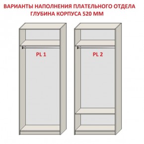 Шкаф распашной серия «ЗЕВС» (PL3/С1/PL2) Серый камень/Небраска натуральный в Нижнем Тагиле - nizhniy-tagil.mebel24.online | фото 9