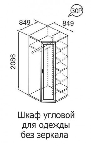 Шкаф угловой для одежды Ника-Люкс 30 без зеркал в Нижнем Тагиле - nizhniy-tagil.mebel24.online | фото 3