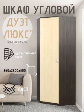 Шкаф угловой Дуэт Люкс без зеркала в Нижнем Тагиле - nizhniy-tagil.mebel24.online | фото 3