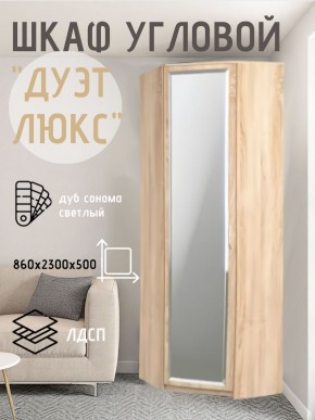 Шкаф угловой Дуэт Люкс с зеркалом в Нижнем Тагиле - nizhniy-tagil.mebel24.online | фото