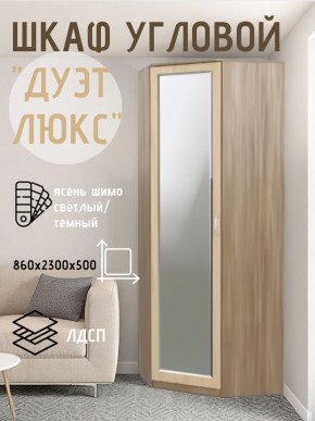 Шкаф угловой Дуэт Люкс с зеркалом в Нижнем Тагиле - nizhniy-tagil.mebel24.online | фото 3