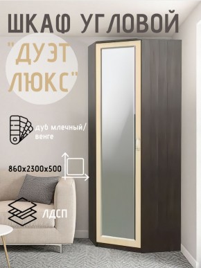 Шкаф угловой Дуэт Люкс с зеркалом в Нижнем Тагиле - nizhniy-tagil.mebel24.online | фото 5