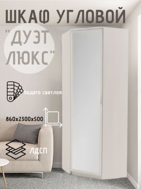 Шкаф угловой Дуэт Люкс с зеркалом в Нижнем Тагиле - nizhniy-tagil.mebel24.online | фото 6