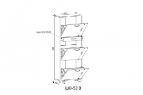 ШО-53 В тумба для обуви в Нижнем Тагиле - nizhniy-tagil.mebel24.online | фото 3